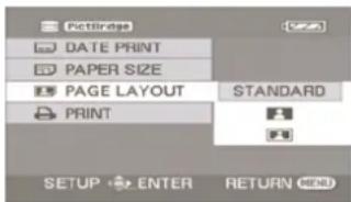 Pictlidge DATE PRINT PAPER SIZE PAGE LAYOUT STANDARD PRINT SETUP ENTER RETURN