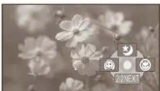 PANASONIC SDR-H20EP - Funcția tele macro (SDR-H250) - 1