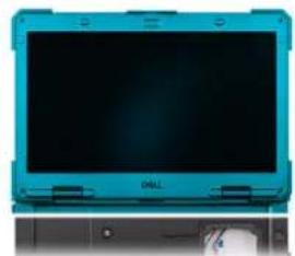 DELL Pro Rugged 13 RA13250 - Despre această sarcină - 3
