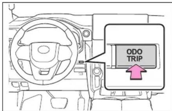 ODO TRIP