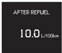 AFTER REFUEL 10.0 L/100km