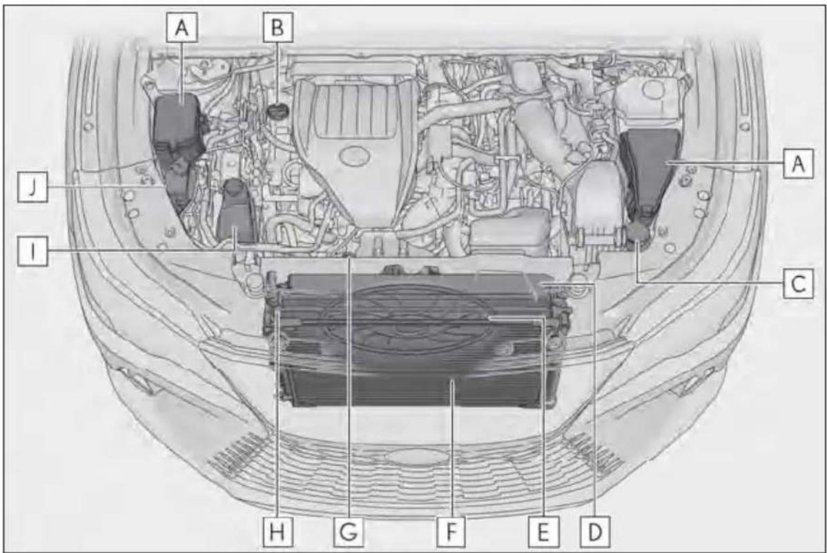 LEXUS RX 350h (2022) - Componentele - 1