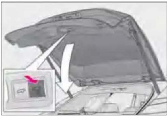 LEXUS RX 350h (2022) - - Deschiderea - 4