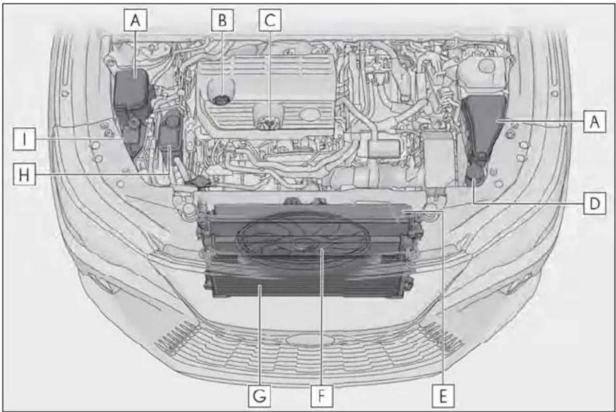 LEXUS RX 350h (2022) - Componentele - 2