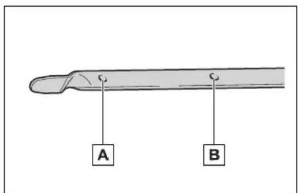 A B