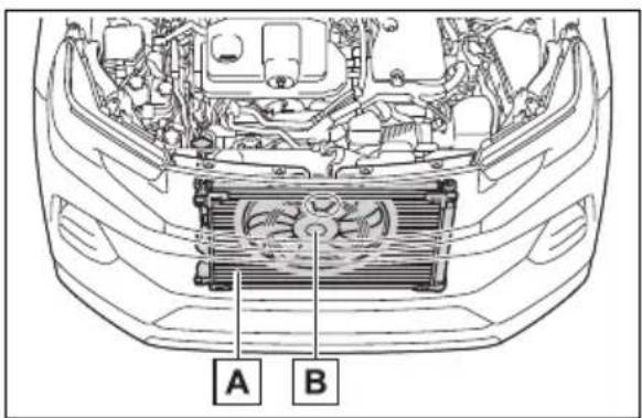 A B