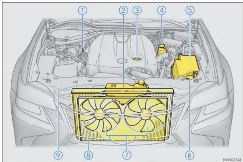 LEXUS GS 300h (2015) - Compartimentul motor - 1