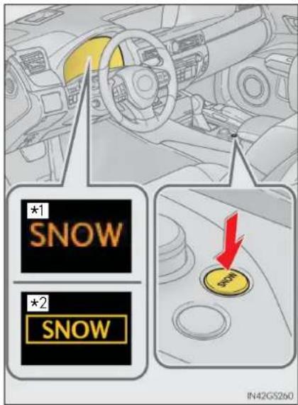 *1 SNOW *2 SNOW SOW IN42GS260