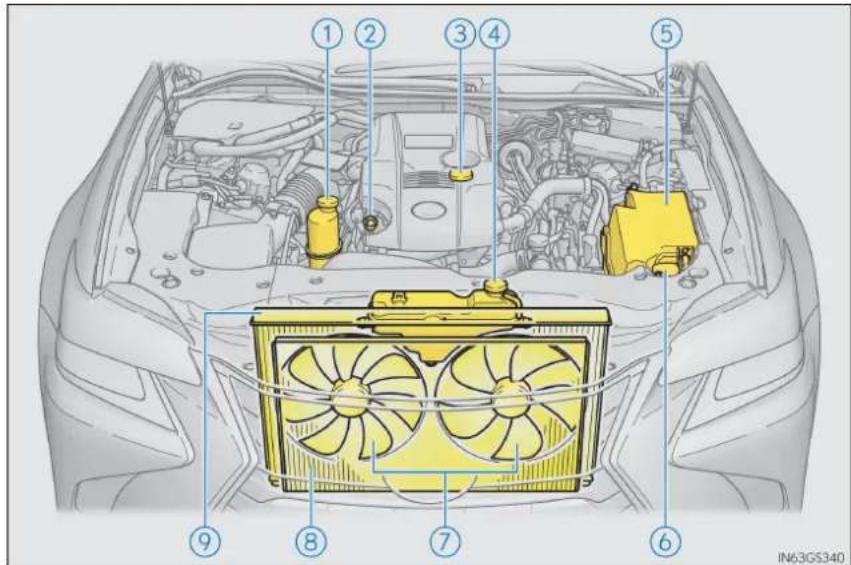 LEXUS GS 300h (2015) - Compartimentul motor - 2