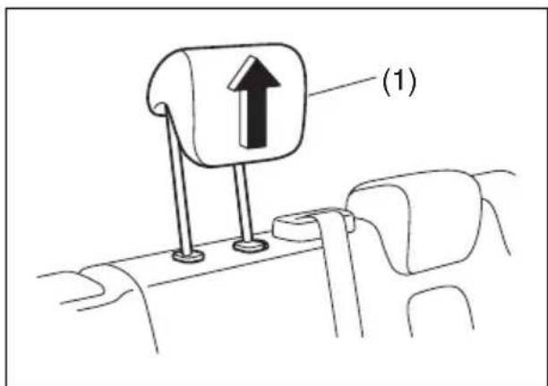 (1)