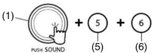 (1) PUSH SOUND + 5 + 6 (5) (6)