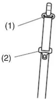 (1) (2)