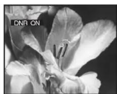 PANASONIC NV-HS880EC - To Ensure High Playback Picture Quality (3D DNR Function) (For NV-HS880 Series) - 1