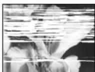 PANASONIC NV-HS880EC - Adjusting the Playback Picture - 1