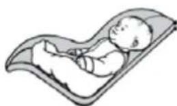 Evenflo Serenade - Securing the Child in the Carrier - 1