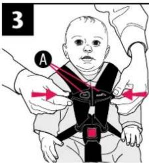Evenflo Serenade - Securing the Child in the Carrier - 5