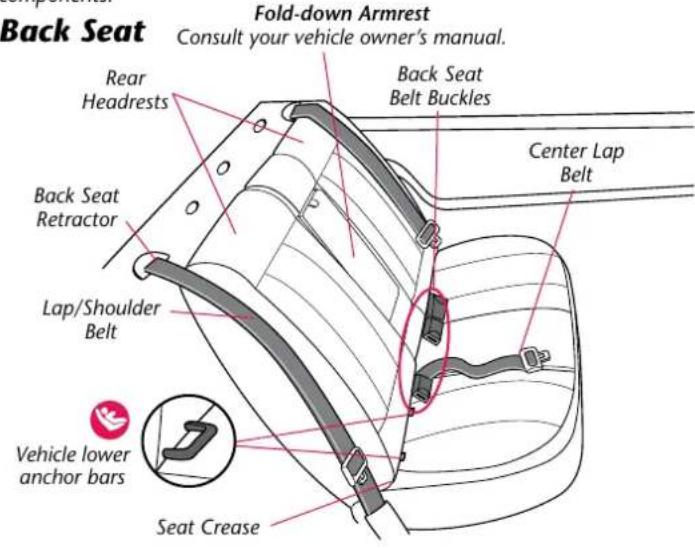 Evenflo Serenade - Visual Glossary - 1
