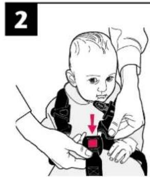 Evenflo Serenade - Securing the Child in the Carrier - 4