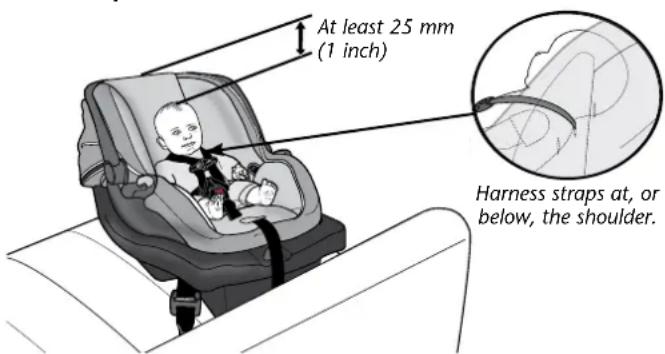 Evenflo Serenade - For Rear-facing Use ONLY - 1