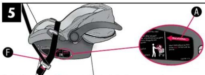 Evenflo Serenade - Installing the Carrier without the Convenience Base - 5