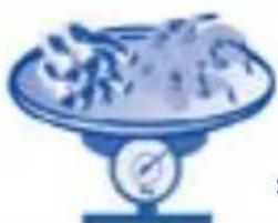 HAIER BCD-455WDGB - 冷冻食品注意事项 - 7