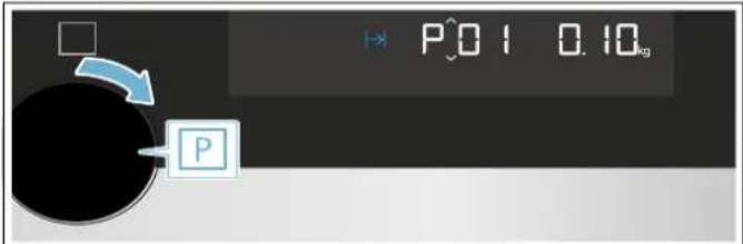 P0.1 0.10kg P