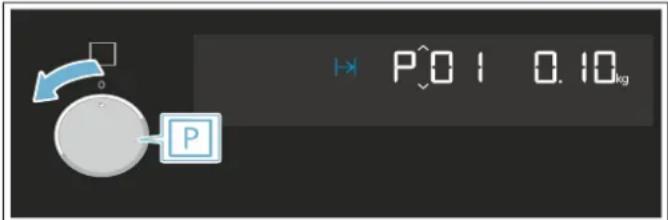 P0.1 0.10kg