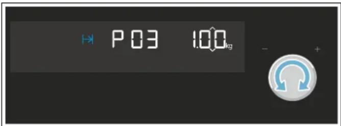 P 03 1.00kg