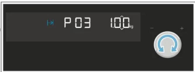 P03 1.00kg