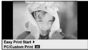 OLYMPUS E-PM2 - Easy printing - 1