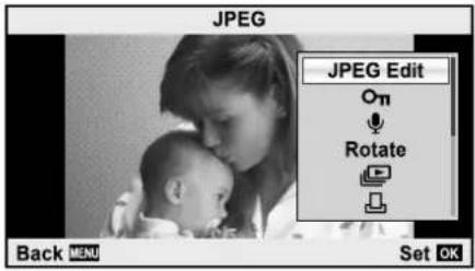 OLYMPUS E-PM2 - Using playback options - 1