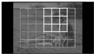 OLYMPUS E-PM2 - Choosing a focus target (AF target) - 3