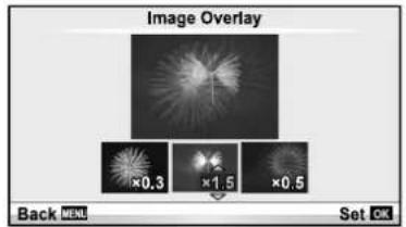 OLYMPUS E-PM2 - Image overlay - 2