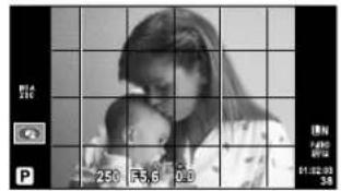 OLYMPUS E-PM2 - Shooting information displays - 1