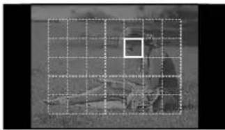OLYMPUS E-PM2 - Choosing a focus target (AF target) - 2