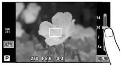 OLYMPUS E-PM2 - ■ Previewing Your Subject (F) - 1