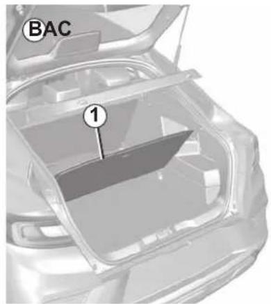 BAC 1