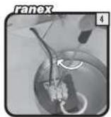 Ranex Jesse - 17