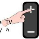 PANASONIC TC-14S3RL - Auto Setup - 1
