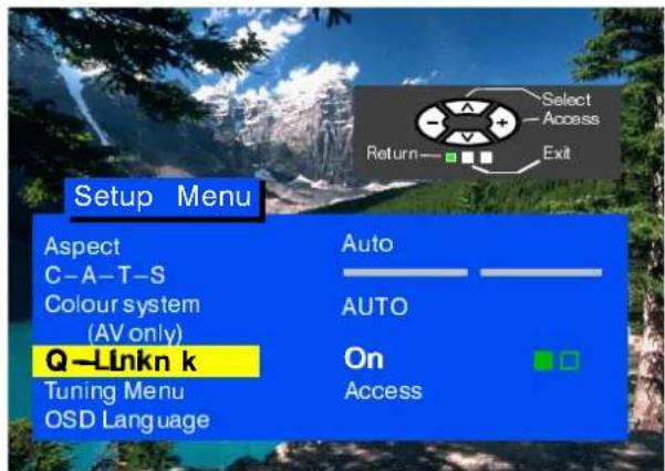PANASONIC TX-21CK1FB - Q-LINK - 2