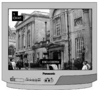 PANASONIC TX-14S3TW - USING A VCR AND SATELLITE RECEIVER - 5