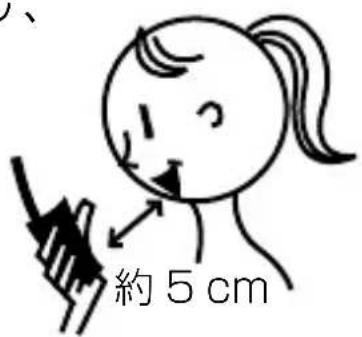 約5cm