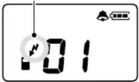 101