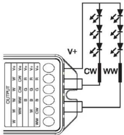 OUTPUT V+ V+ CW WW WW CW RW G R V+ WW CW B G R V+