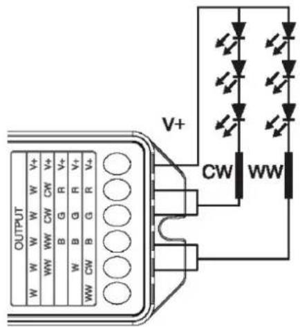 OUTPUT V+ CW WW V+