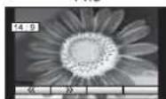 PANASONIC Viera TX-26LE7F - Note - 2