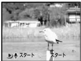 PENTAX DIGIBINO DB 200 - 9画像ずつ再生する(サムネイル) - 5