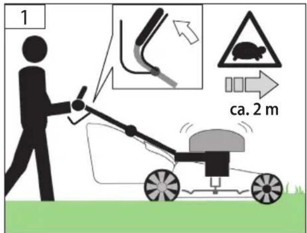 1 ca. 2 m