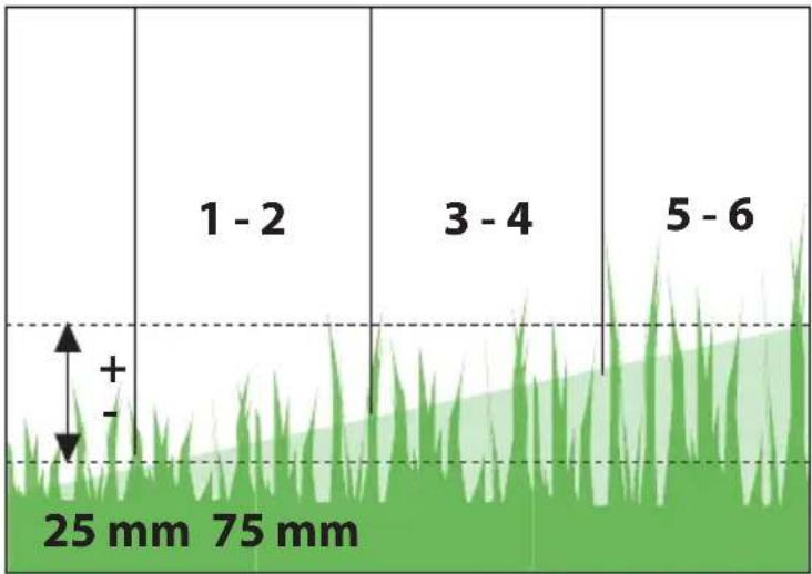 GERMANIA Power 41 - POWER 41 - 36