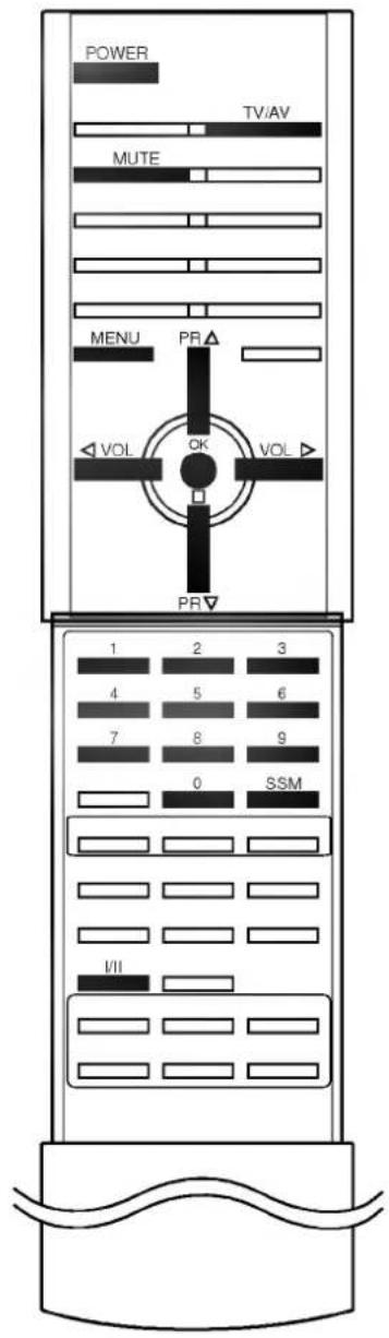 LG RT-44SZ21RB - Mute function - 1